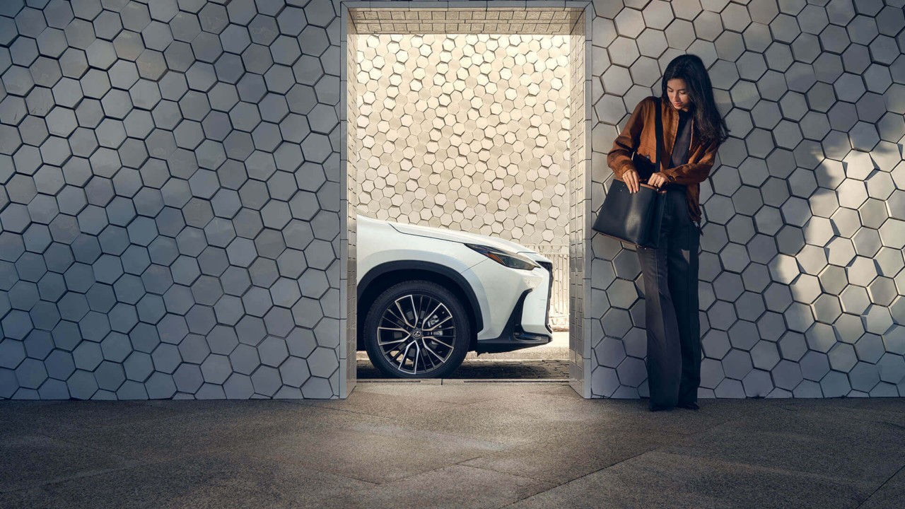 full hybrid insurance